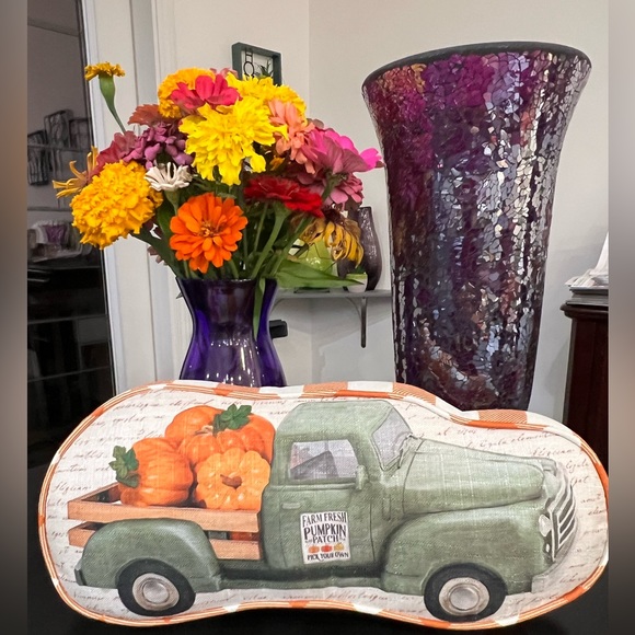 PRICE DROP - NWT FALL HARVEST DECORATIVE PILLOW - Picture 1 of 14